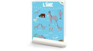 L’âne