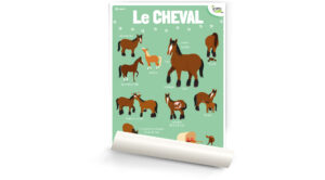Le cheval
