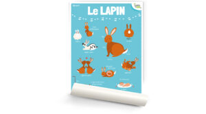 Le lapin
