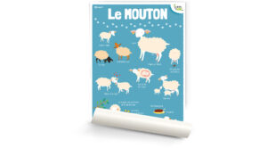 Le mouton