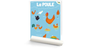 La poule