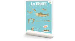 La truite
