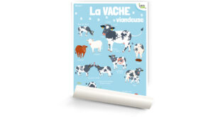 La vache viandeuse