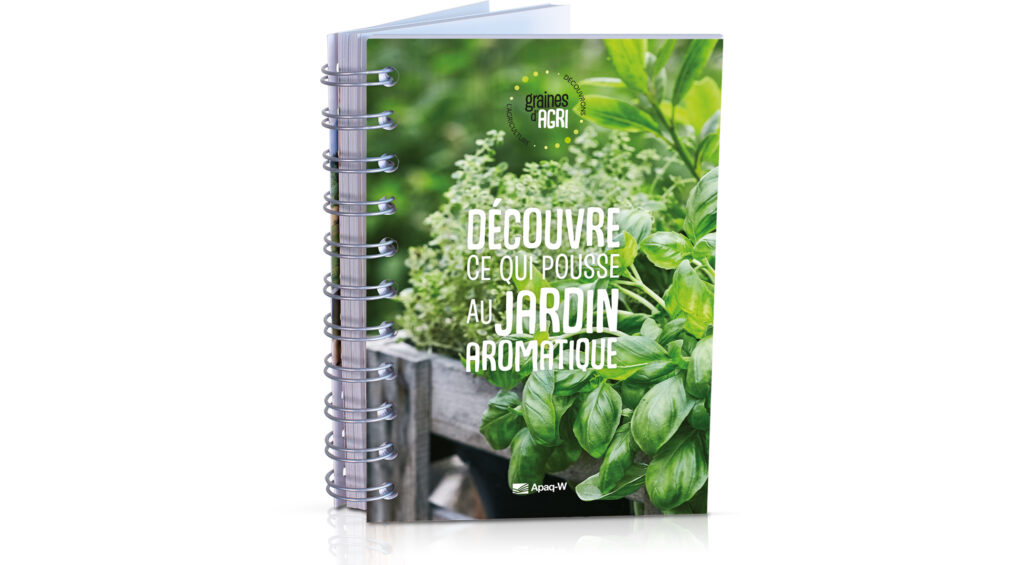Découvre ce qui pousse au jardin aromatique