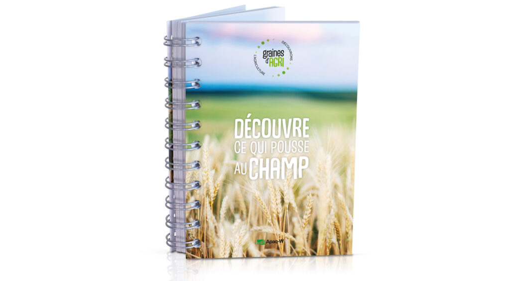 Découvre ce qui pousse au champ