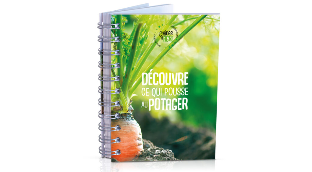 Découvre ce qui pousse au potager